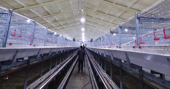 養(yǎng)鴨場老板：熱泵供暖溫度高，費用比燒煤還省！